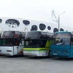 Пассажирские автобусы от 45 мест